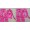 Juicy Couture Tracksuits Crest Frame Terry Hoodie Dragonfruit